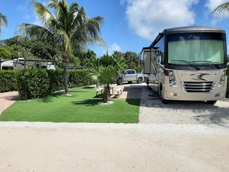 20200826 145926 768x576