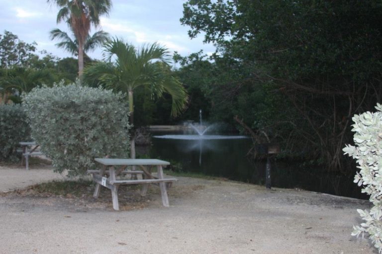 483598 553869667964101 1203297760 n 768x511