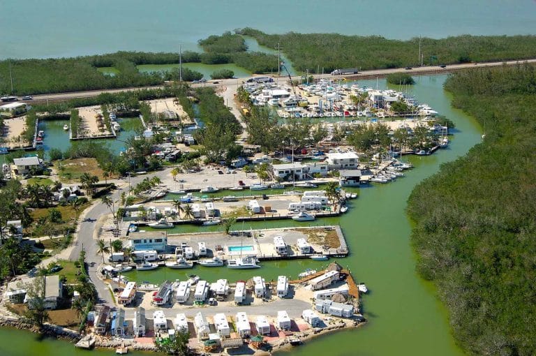 Pelican cay 768x510