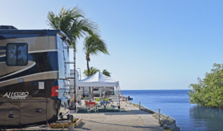 Screen Shot 2022 03 10 at 1.50.27 PM 768x451