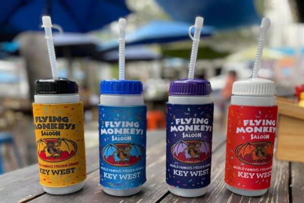 flying monkeys key west
