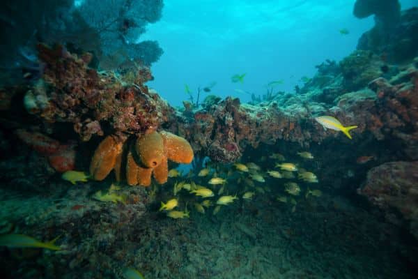 11 Best Key West Beaches | Florida Keys Camping