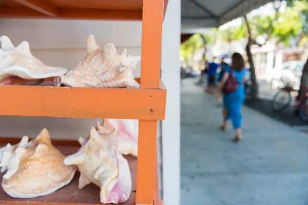 key west conch shelling in the florida keys
