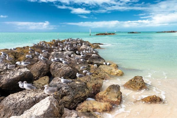 fort zachary taylor near bluewater key rv resort