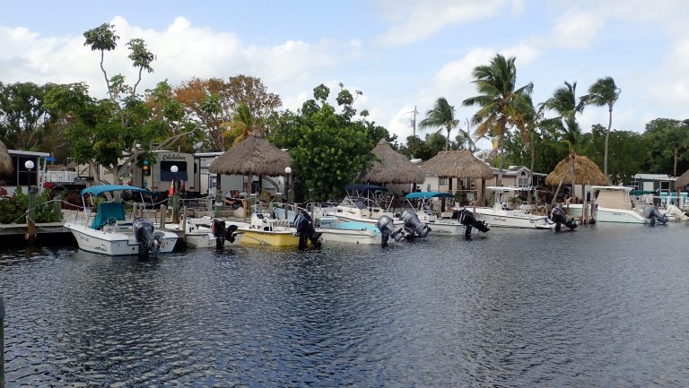 P3130037 scaled 1 768x433