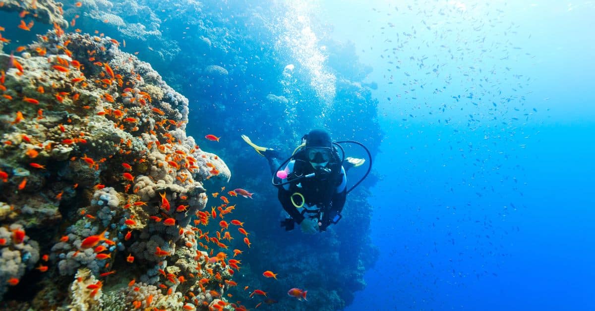 scuba diving florida keys