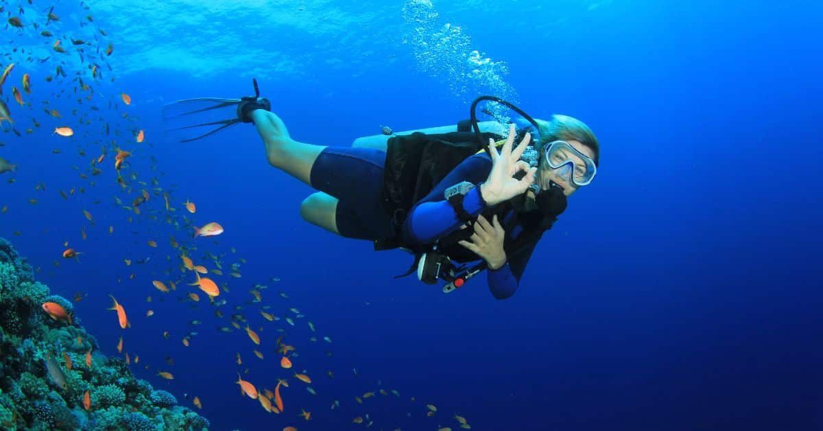 scuba diving key largo